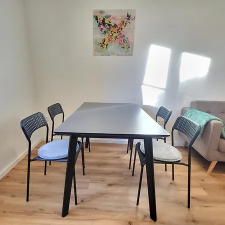 Appartement Stilvoll Renoviertes 50m2 In Gruenlage - Ganze Graz