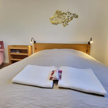 Appartement Stilvoll Renoviertes 50m2 In Gruenlage - Ganze *