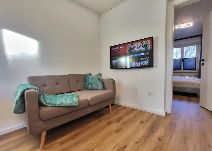 Appartement Stilvoll Renoviertes 50m2 In Gruenlage - Ganze