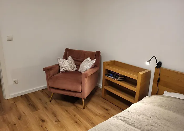 Appartement Stilvoll Renoviertes 50m2 In Gruenlage - Ganze Graz