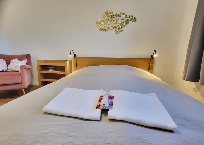 Appartement Stilvoll Renoviertes 50m2 In Gruenlage - Ganze *