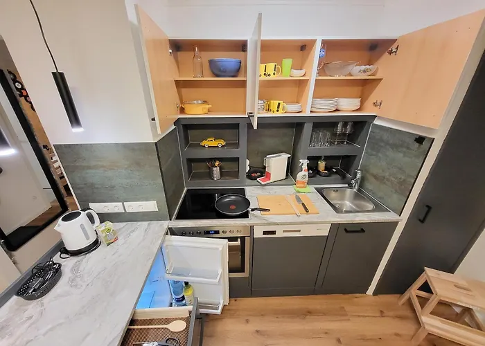 Appartement Stilvoll Renoviertes 50m2 In Gruenlage - Ganze