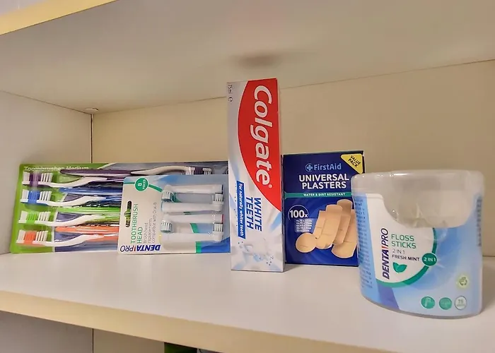 Appartement Stilvoll Renoviertes 50m2 In Gruenlage - Ganze *