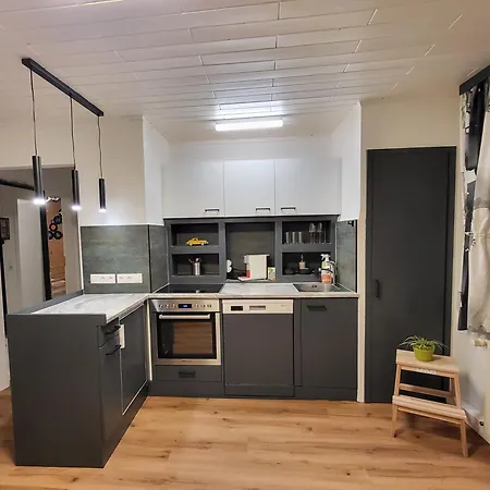 Stilvoll Renoviertes 50m2 In Gruenlage - Ganze * 그라츠