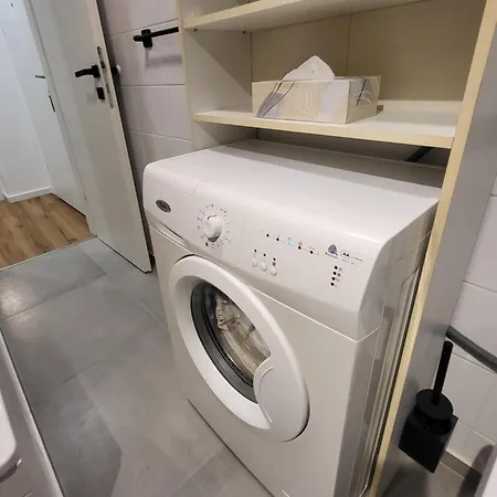 Stilvoll Renoviertes 50m2 In Gruenlage - Ganze Graz